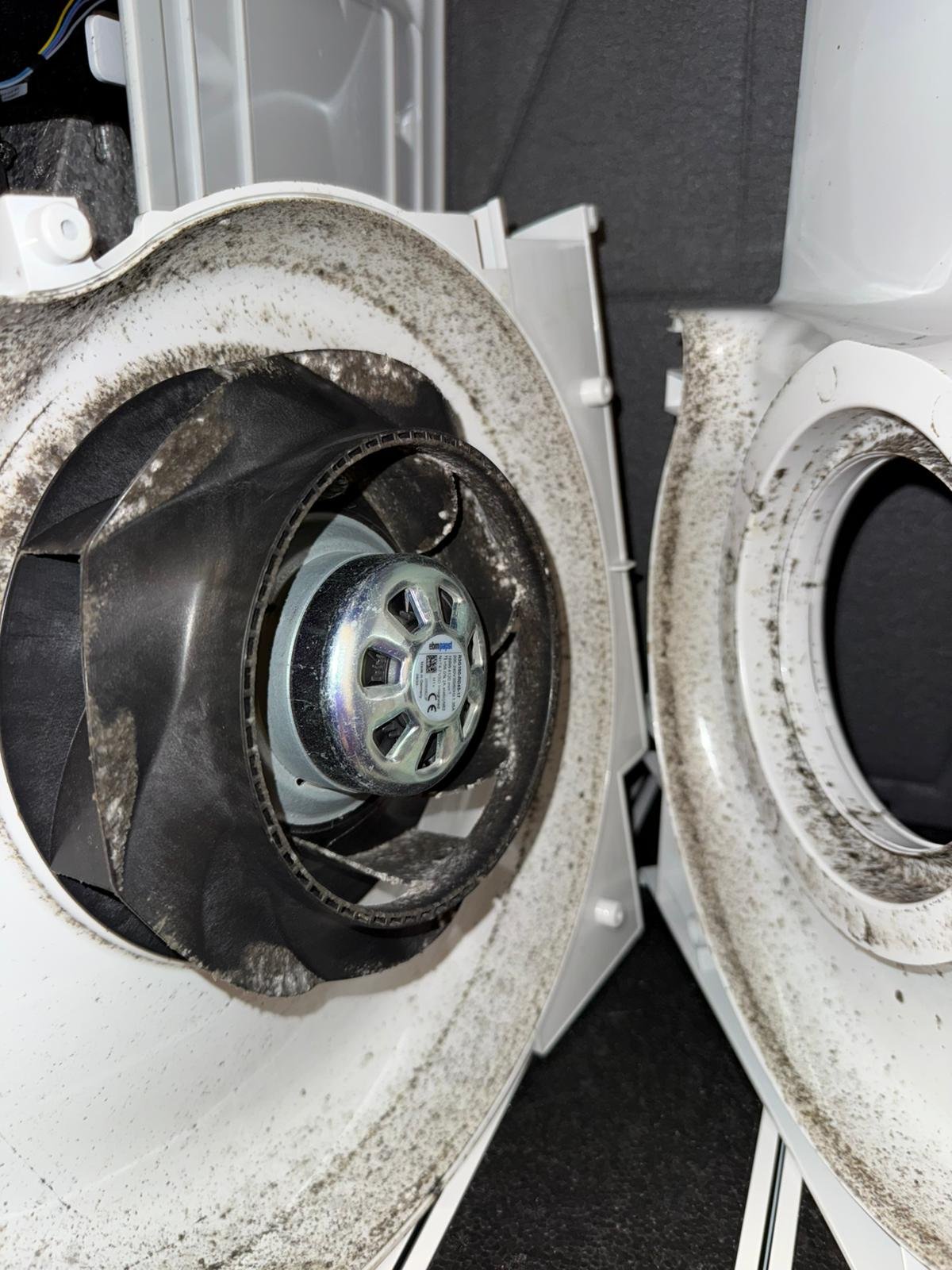 WhatsApp Image 2025-06-05 at 14.16.10 (1)